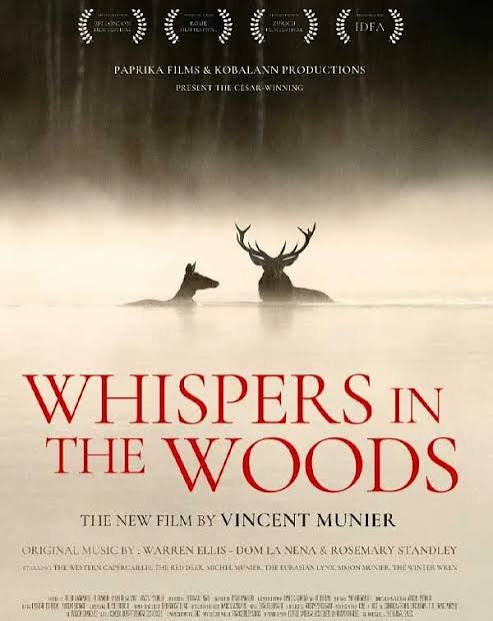 WitW poster